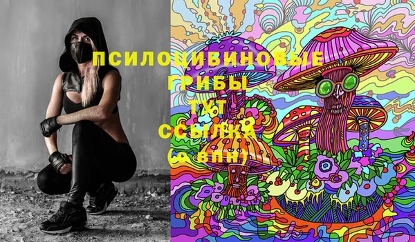 эйфоретик Бородино