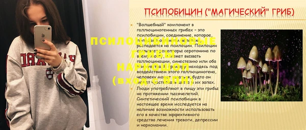эйфоретик Бородино