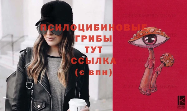 дурь Богородицк