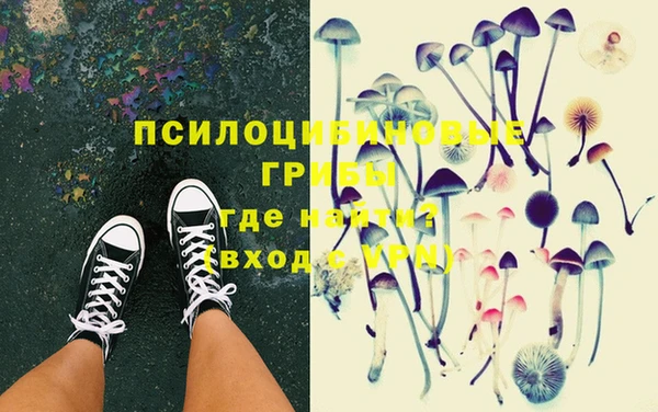 дурь Апатиты