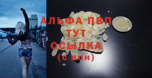 эйфоретик Бородино