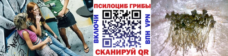 МЕГА сайт  Ворсма  Галлюциногенные грибы Magic Shrooms 